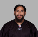 Troy Polamalu